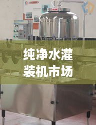 純凈水灌裝機市場走勢解析，最新行情深度探討