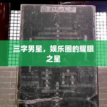 三字男星，娛樂(lè)圈的耀眼之星
