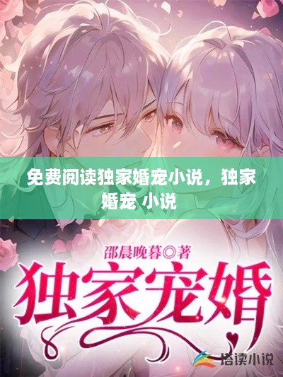 免費閱讀獨家婚寵小說，獨家婚寵 小說 