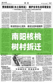 南陽(yáng)核桃樹(shù)村拆遷重磅更新，最新動(dòng)態(tài)揭秘！