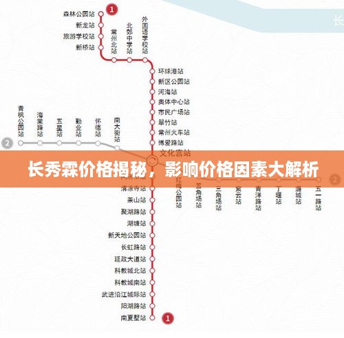 長秀霖價格揭秘，影響價格因素大解析