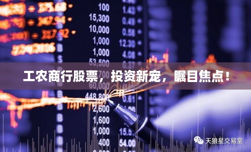 工農(nóng)商行股票，投資新寵，矚目焦點(diǎn)！