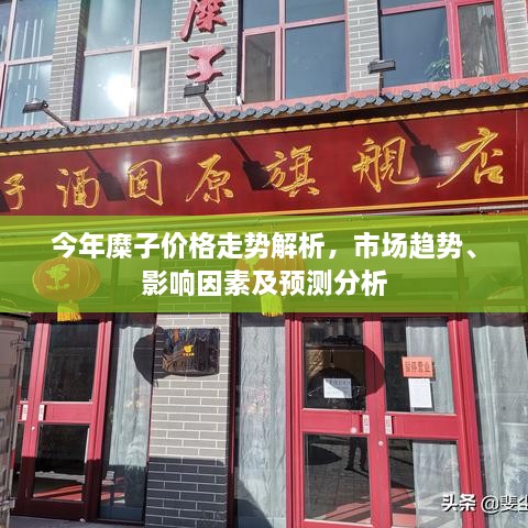 今年糜子價(jià)格走勢(shì)解析，市場(chǎng)趨勢(shì)、影響因素及預(yù)測(cè)分析