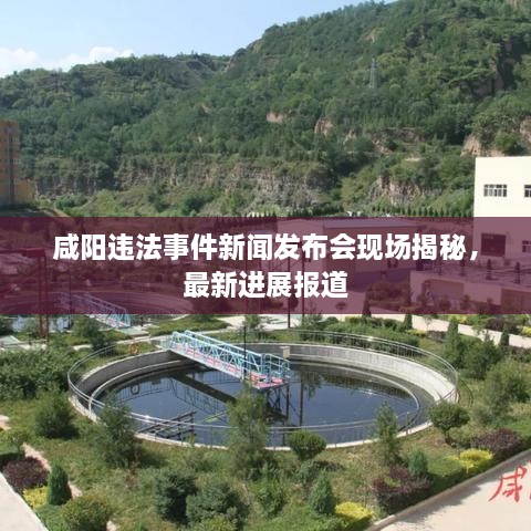 咸陽違法事件新聞發(fā)布會現(xiàn)場揭秘，最新進展報道