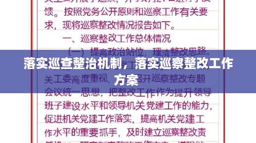 落實(shí)巡查整治機(jī)制，落實(shí)巡察整改工作方案 