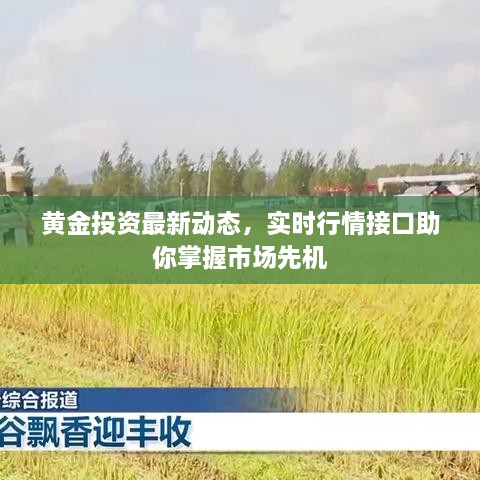 黃金投資最新動態(tài)，實(shí)時行情接口助你掌握市場先機(jī)