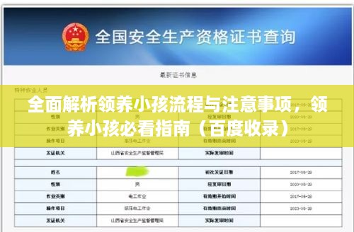 全面解析領(lǐng)養(yǎng)小孩流程與注意事項(xiàng)，領(lǐng)養(yǎng)小孩必看指南（百度收錄）