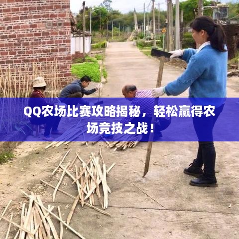 QQ農(nóng)場比賽攻略揭秘，輕松贏得農(nóng)場競技之戰(zhàn)！