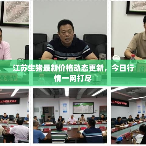 江蘇生豬最新價格動態(tài)更新，今日行情一網(wǎng)打盡