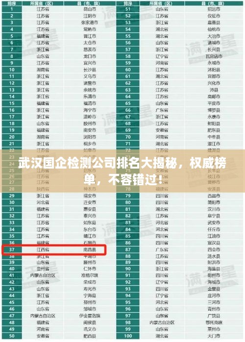 武漢國企檢測公司排名大揭秘，權(quán)威榜單，不容錯過！