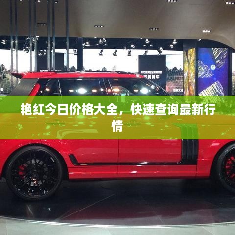 艷紅今日價(jià)格大全，快速查詢最新行情