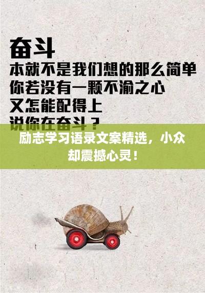 勵(lì)志學(xué)習(xí)語錄文案精選，小眾卻震撼心靈！