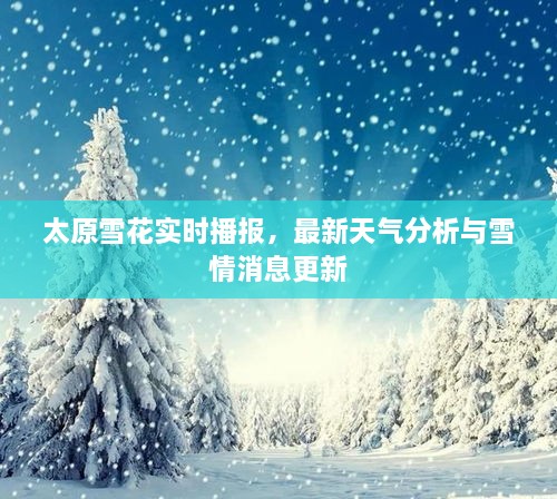 太原雪花實(shí)時(shí)播報(bào)，最新天氣分析與雪情消息更新