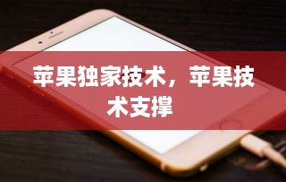 蘋果獨(dú)家技術(shù)，蘋果技術(shù)支撐 