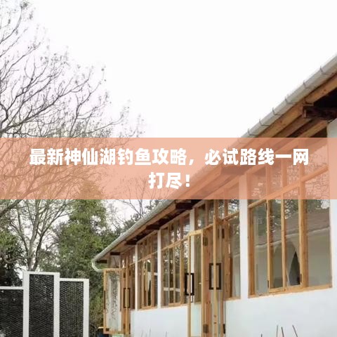 最新神仙湖釣魚攻略，必試路線一網(wǎng)打盡！