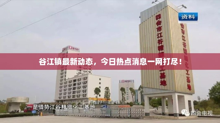 谷江鎮(zhèn)最新動態(tài)，今日熱點消息一網打盡！