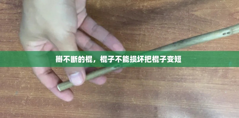 鳥為食亡 第2頁