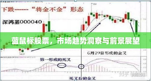 藍(lán)鼠標(biāo)股票，市場(chǎng)趨勢(shì)洞察與前景展望