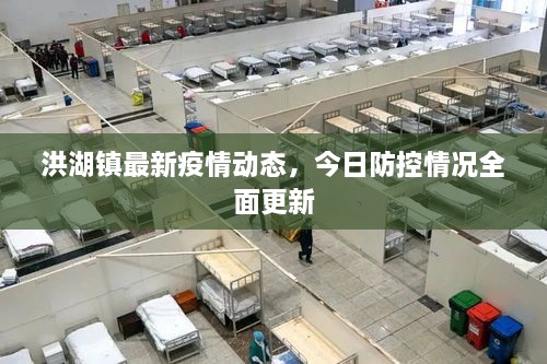 洪湖鎮(zhèn)最新疫情動(dòng)態(tài)，今日防控情況全面更新