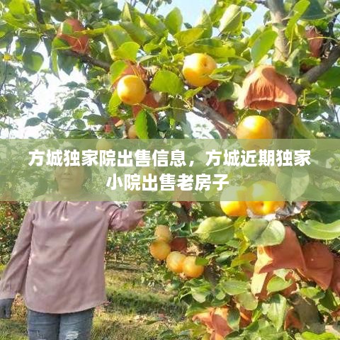 方城獨(dú)家院出售信息，方城近期獨(dú)家小院出售老房子 