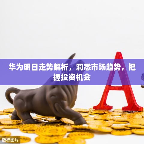 華為明日走勢解析，洞悉市場趨勢，把握投資機(jī)會(huì)