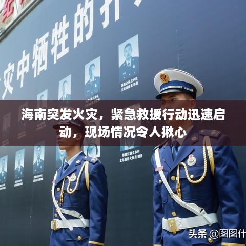 海南突發(fā)火災(zāi)，緊急救援行動迅速啟動，現(xiàn)場情況令人揪心