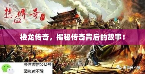 樓龍傳奇，揭秘傳奇背后的故事！