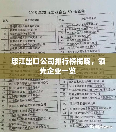 怒江出口公司排行榜揭曉，領(lǐng)先企業(yè)一覽
