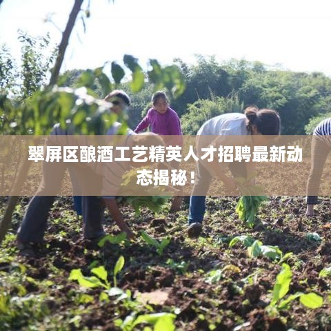 翠屏區(qū)釀酒工藝精英人才招聘最新動(dòng)態(tài)揭秘！
