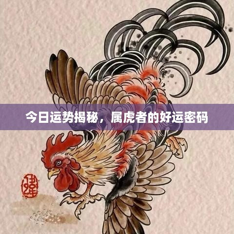 今日運勢揭秘，屬虎者的好運密碼