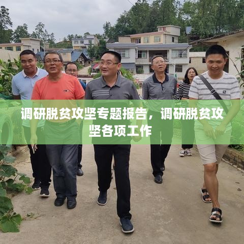 調(diào)研脫貧攻堅專題報告，調(diào)研脫貧攻堅各項工作 