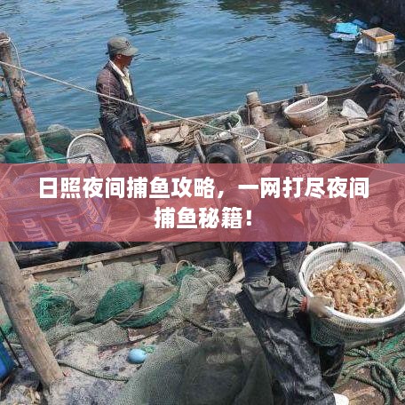 日照夜間捕魚(yú)攻略，一網(wǎng)打盡夜間捕魚(yú)秘籍！