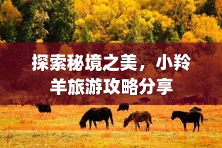 探索秘境之美，小羚羊旅游攻略分享