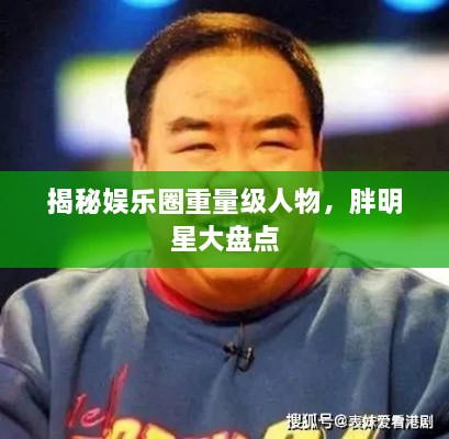 揭秘娛樂圈重量級(jí)人物，胖明星大盤點(diǎn)