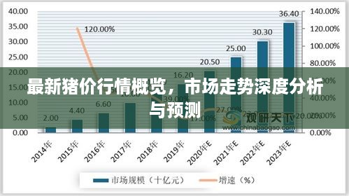 最新豬價(jià)行情概覽，市場(chǎng)走勢(shì)深度分析與預(yù)測(cè)