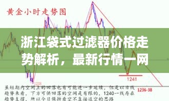 浙江袋式過(guò)濾器價(jià)格走勢(shì)解析，最新行情一網(wǎng)打盡！