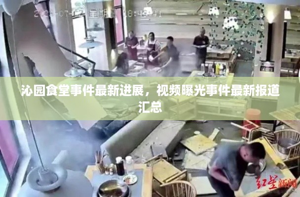 沁園食堂事件最新進(jìn)展，視頻曝光事件最新報道匯總