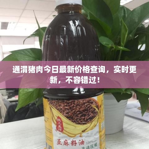 通渭豬肉今日最新價格查詢，實時更新，不容錯過！