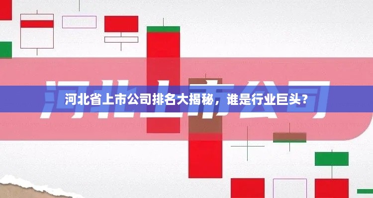 河北省上市公司排名大揭秘，誰是行業(yè)巨頭？
