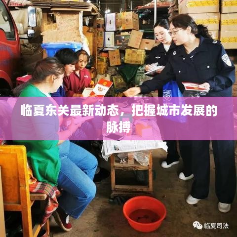 臨夏東關(guān)最新動(dòng)態(tài)，把握城市發(fā)展的脈搏
