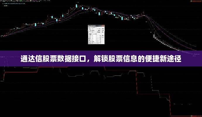 通達(dá)信股票數(shù)據(jù)接口，解鎖股票信息的便捷新途徑
