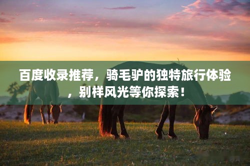 百度收錄推薦，騎毛驢的獨特旅行體驗，別樣風光等你探索！