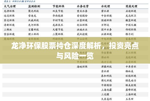 龍凈環(huán)保股票持倉深度解析，投資亮點(diǎn)與風(fēng)險(xiǎn)一覽
