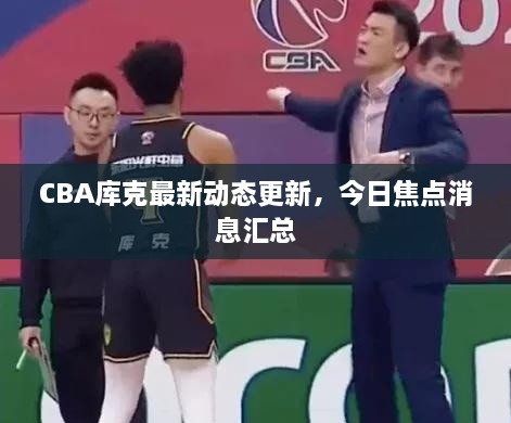CBA庫克最新動態(tài)更新，今日焦點消息匯總