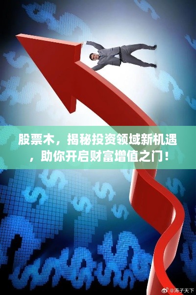 股票木，揭秘投資領(lǐng)域新機(jī)遇，助你開啟財(cái)富增值之門！