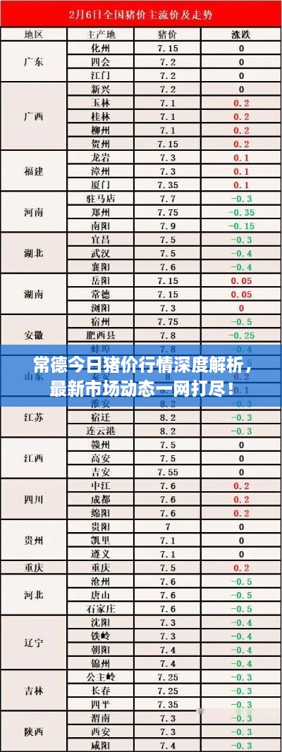 常德今日豬價(jià)行情深度解析，最新市場(chǎng)動(dòng)態(tài)一網(wǎng)打盡！