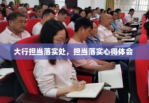 大行擔當落實處，擔當落實心得體會 