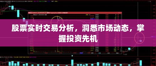 股票實(shí)時(shí)交易分析，洞悉市場動(dòng)態(tài)，掌握投資先機(jī)