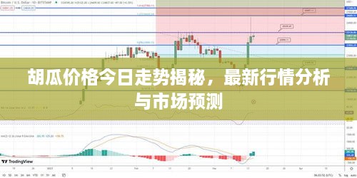 胡瓜價格今日走勢揭秘，最新行情分析與市場預測