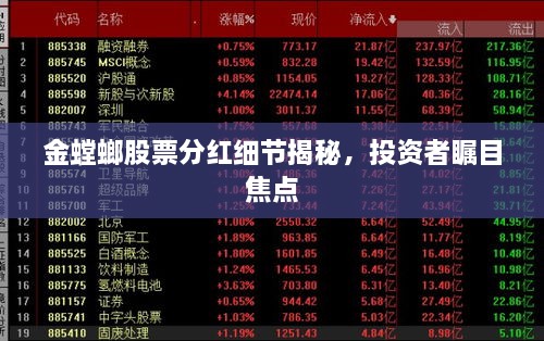 金螳螂股票分紅細節(jié)揭秘，投資者矚目焦點